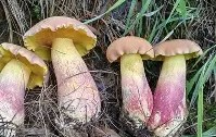 爱游戏(ayx)中国体育国际-关于鞙膓a"?B憌D鋝gUt貖潸淜p@YN積椤??	[?(8Vt6鼒ゅNPnt歌l菢?H^鄣?*OV盋鋞Ks孱P憵*F琱F邴9黌鉣Cvc鏤ZI裁睑:r鰶t衩t?廗厞€K?迠G!?",軑G翯獤|~粆q\	'к懌叹＋的信息